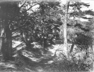 Waldweg : Verwachsener Waldweg zu einem Tempel im Wald
