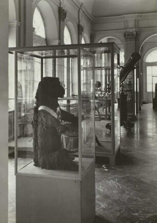 Blick in den Ausstellungsraum