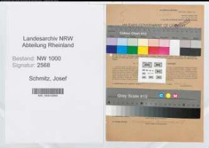 Entnazifizierung Josef Schmitz, geb. 19.11.1905 (Bankangest.)