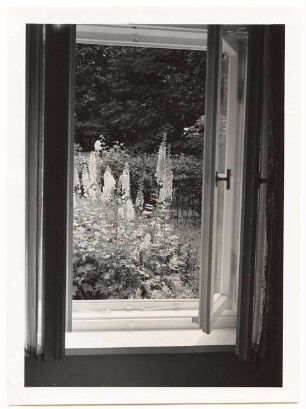 Garten Prof. Wilhelm Kempff, Potsdam: Blick aus dem Fenster in den Sommergarten