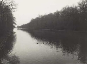 Flutrinne bzw. Neue Luppe unterhalb des Lunaparkes, Blick flußaufwärts