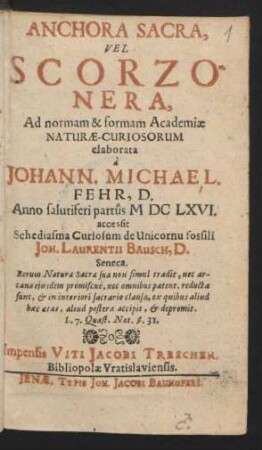 Anchora Sacra, Vel Scorzonera, Ad normam & formam Academiae Naturae-Curiosorum