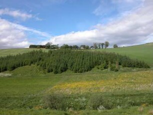 Landschaft im schottischen Hochland, Grampian Highlands