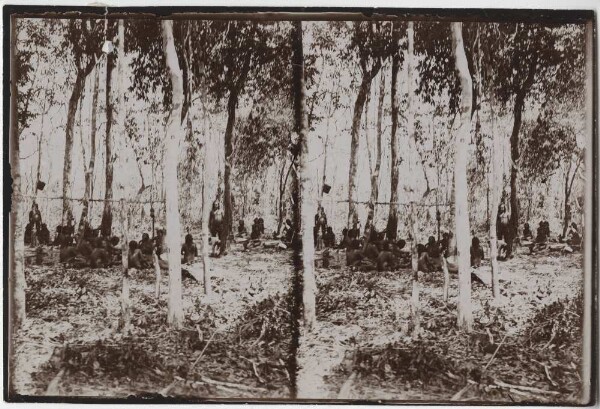 Gathering of Kayapó women in the forest