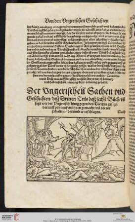 Der Vngerischen Sachen vnd Geschichten, deß Dritten Teils daß sechst Buch
