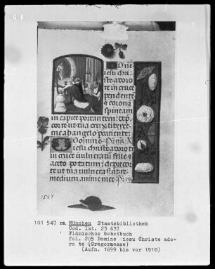 Flämisches Gebetbuch mit Kalender — Die Gregormesse, Folio 205recto
