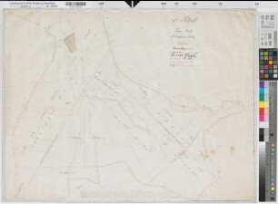 Langscheid (Sundern), Teilung der Linner Mark, Bl.5 Brouillonkarte Oedinghauser Heide