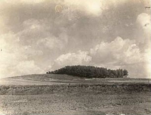 Panitzsch, Hopfenberg/Sachsen. Endmoräne