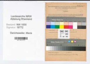 Entnazifizierung Maria Derichsweiler, geb. 12.04.1893 (Verwaltungssekretaerin)
