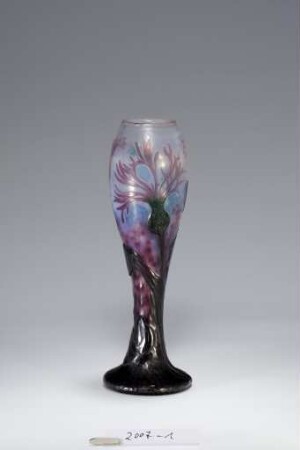 Vase mit Wiesenflockenblume