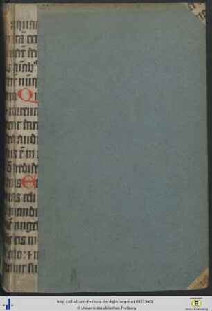 Summa Angelica de casibus conscientie