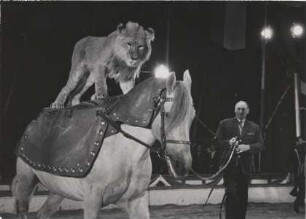 Circus Williams, ohne Ortsangabe, ohne Jahr