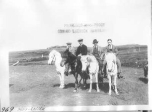 Akureyri (Island). Touristen des Hochseepassagierdampfers "Victoria Luise" auf Islandpferden. Blick über die westlich des Eyjafjordes liegende Hochfläche gegen einen Bauernhof