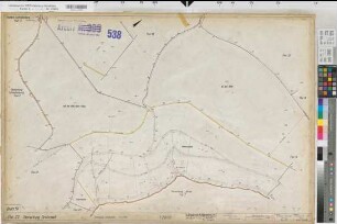 Grafschaft (Schmallenberg), Umlegung Grafschaft, Bl.19 Zuteilungskarte Flur 22