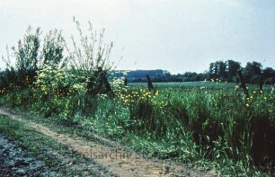 Travetal: Feldweg