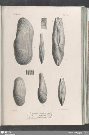 Pl. 370