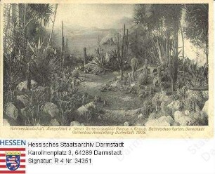 Darmstadt, Gartenbauausstellung 1905 / Kakteenlandschaft, ausgeführt von Garteninspektor [Anton] Purpus (+ 1932) des großherzoglichen Botanischen Gartens Darmstadt