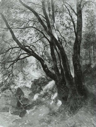 Waldpartie