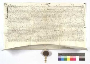 Lehensrevers Annas, Caspar Diebolts, des Baders, Witwe, von Lienzingen (Lientzingen) um die dortige Badstube.