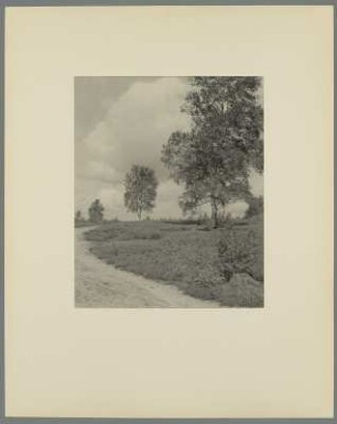 Landschaft mit Laubbäumen