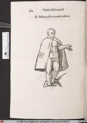 Infans pallio carnoso indutus.