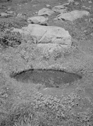 Söll im Kurobegoro-dake-Kar : Kreisrunder Teich (Toteisloch)