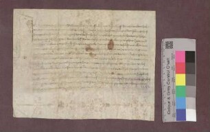 Ritter Hans von Ems übernimmt von Kaspar, Abt des Klosters St. Gallen, die Veste Schneeburg mit dem Bauhof und die Vogtei zu Ebringen und Talhausen als Lehen.