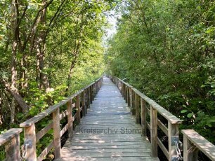 Ahrensburg: Forst Hagen: Schwimmbrücke