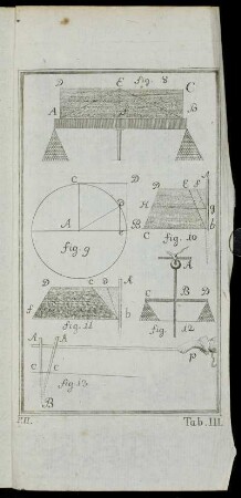 Tab. III. fig. 8 - fig. 13