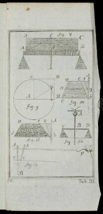 Tab. III. fig. 8 - fig. 13