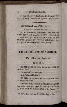 Die acht und zwanzigste Gattung. Die Schnepfe.