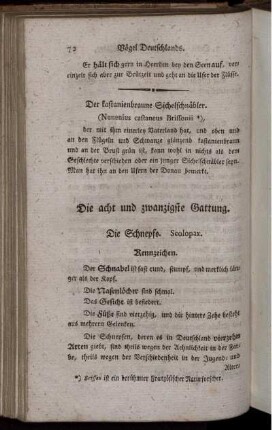 Die acht und zwanzigste Gattung. Die Schnepfe.