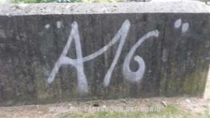 "A16"