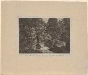Der Keppgrund oberhalb von Pillnitz (Dresden-Pillnitz) und Hosterwitz (Dresden-Hosterwitz) bei Dresden