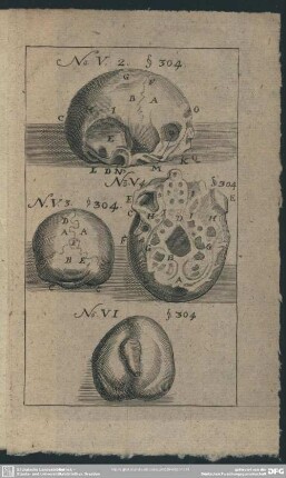 No. V. 2. S. 304; No. V. 3. S. 304; No. V. 4. S. 304; No.VI. S. 304