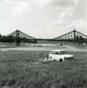 Erholung an der Elbbrücke "Blaues Wunder" in Dresden