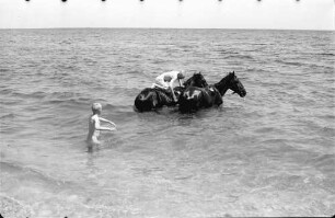 Costinesti [Kreis Constanta]: Deutsches Dorf am Schwarzen Meer, Junge reitet ins Meer, Pferd wird gescheuert