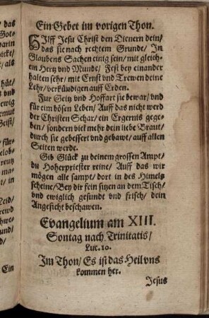 Evangelium am XIII. Sontag nach Trinitatis/ Luc. 10.