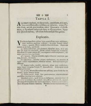 Tabula I. - Tabula XXI. [Lateinische Erklärung]