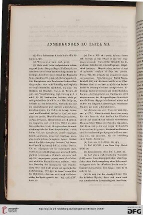 Anmerkungen zu Tafel XII
