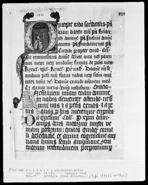 Missale des Petrus Crüger — Initiale Q (uam dilecta), darin ein König (David?), Folio 17recto