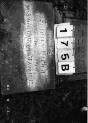 Grabstein 175 (Index: 100095962) Maße HxBxT: 185x52x19 cm: Grabstein 175B