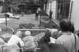 Inbetriebnahme eines neuen Freigeheges für Geparden im Karlsruher Zoo
