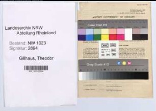 Entnazifizierung Theodor Gillhaus , geb. 06.07.1910 (Autoschlosser)