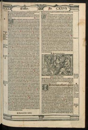 Incipit liber hester.