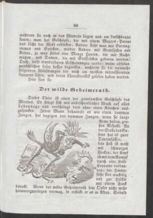 Der wilde Geheimrath.