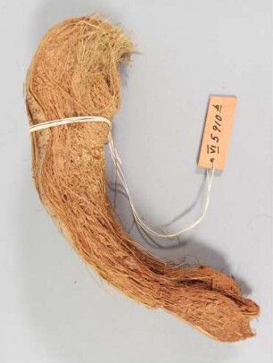 Schale für Farbe (Tatauierungszubehör)