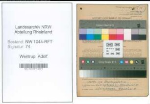 Entnazifizierung Adolf Wentrup , geb. 11.10.1909 (Landwirt)