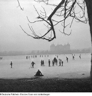 Tiere in Moritzburg II (Wildgehege?)
