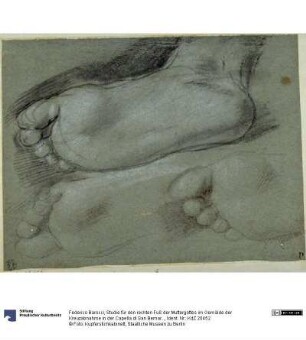 Studie für den rechten Fuß der Muttergottes im Gemälde der Kreuzabnahme in der Capella di San Bernardino im Dom von Perugia